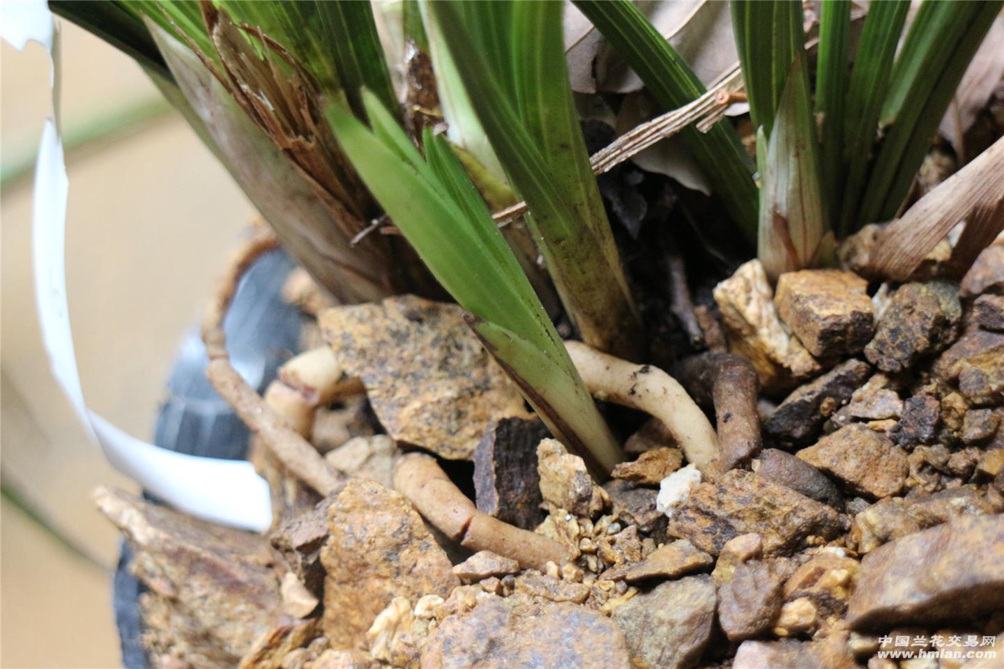 beats365唯一官网