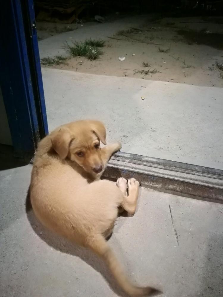 房间潮湿怎么处理？‘beat365平台入口’(图3)