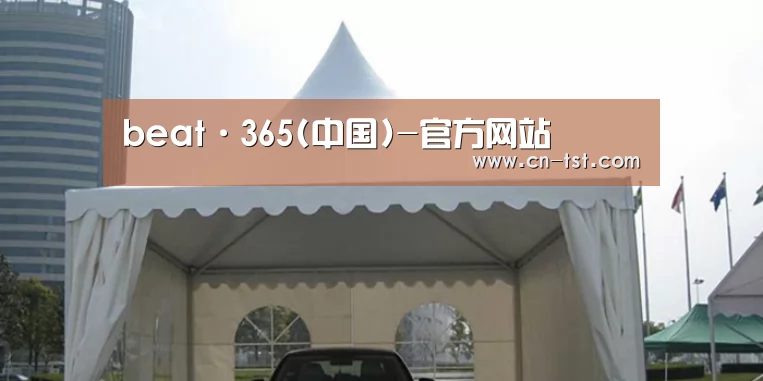 案例标题八