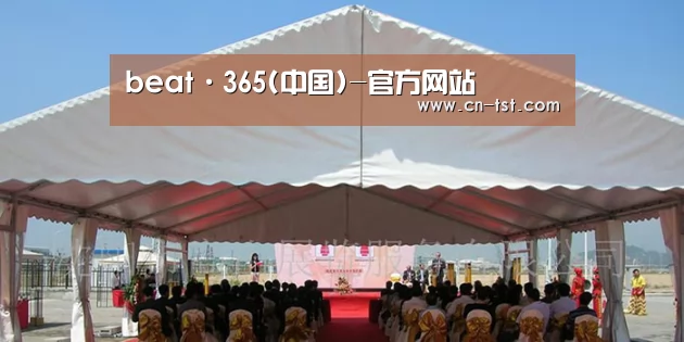 案例标题三